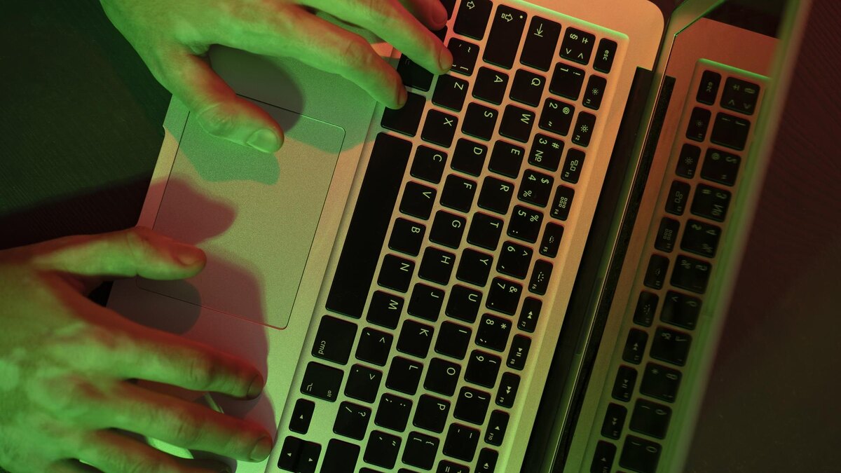    Фото: freepik.com