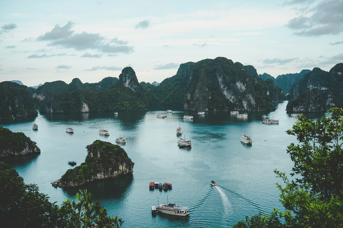     Ammie Ngo/Unsplash