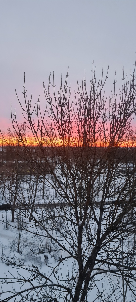 Фото моё. 26.02.2026