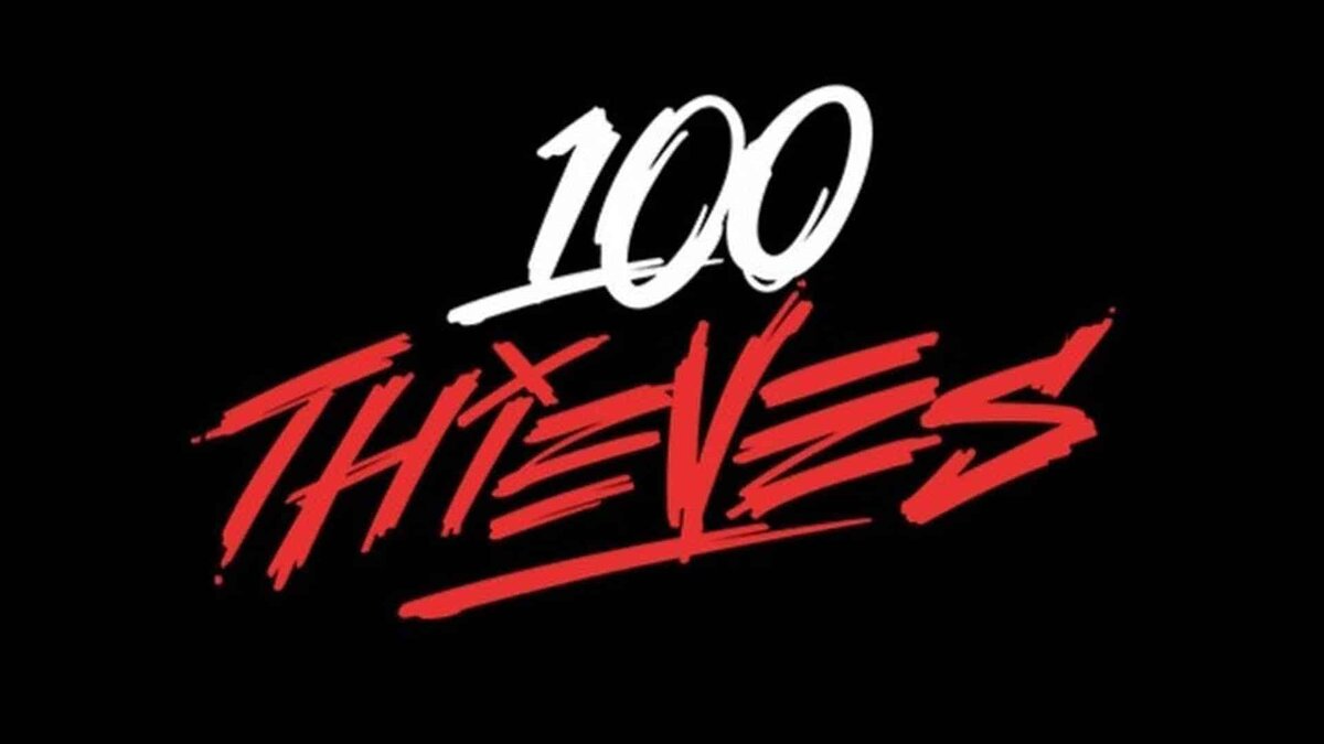 Источник: официальный сайт 100 Thieves