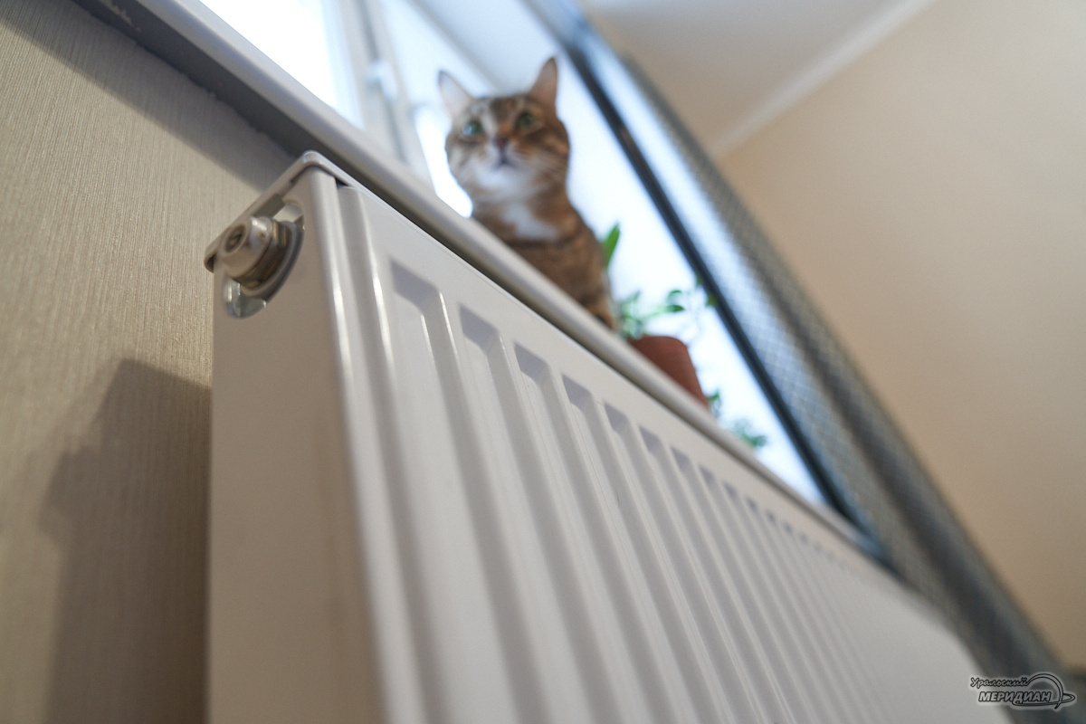    Фото: Лидия Аникина © ИА «Уральский меридиан»