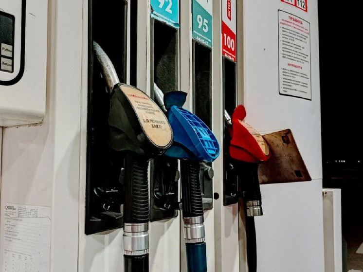     Фото: Наталья Балаболкина