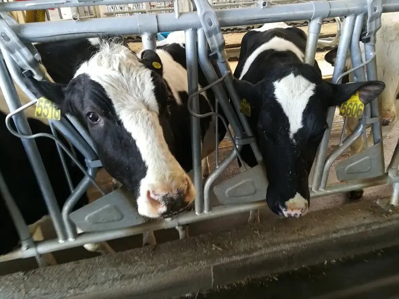     © "Интерфакс". Ксения Новикова