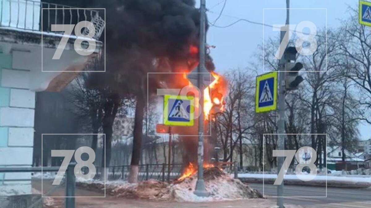    Фото: соцсети