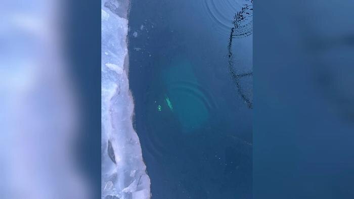 Фото затонувшей «буханки» с туристами на Байкале. Обложка © Пресс-служба МВД Иркутской области