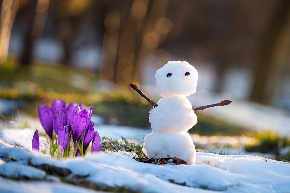    Фото: Ann Stryzhekin / Shutterstock.com