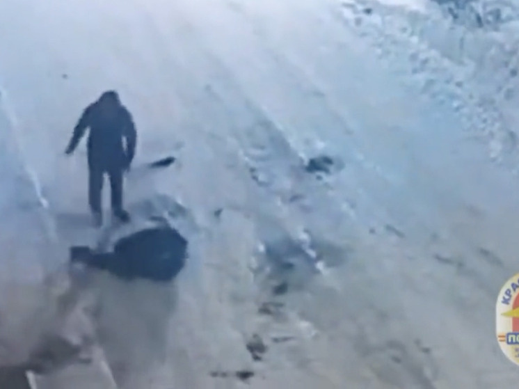     Скриншот видео МВД