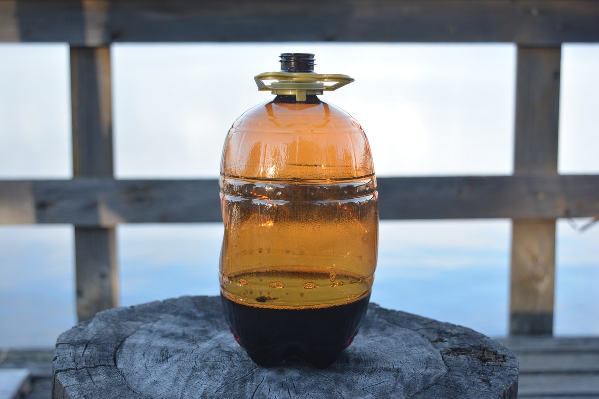    фото: © Столица на Онего