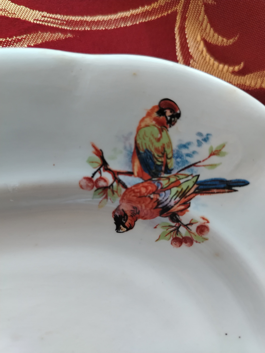 Ну нет, это же попугаи?!