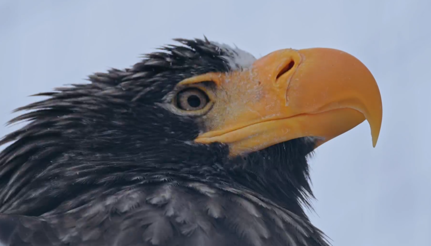    Источник фото: