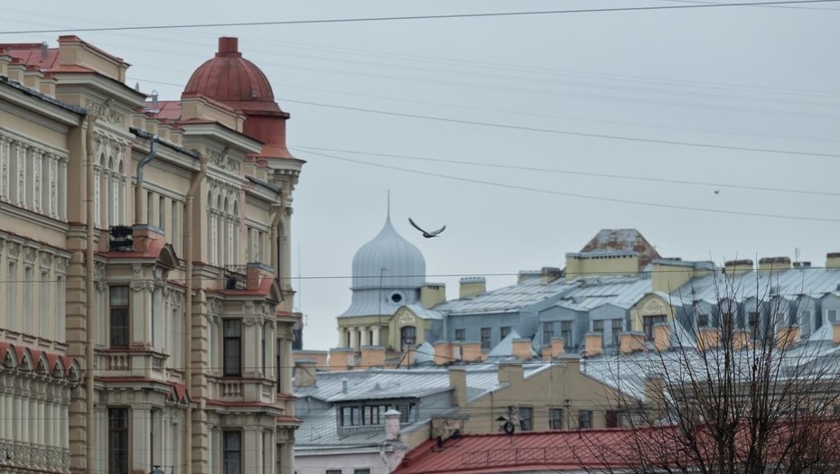    Автор фото: Тихонов Михаил