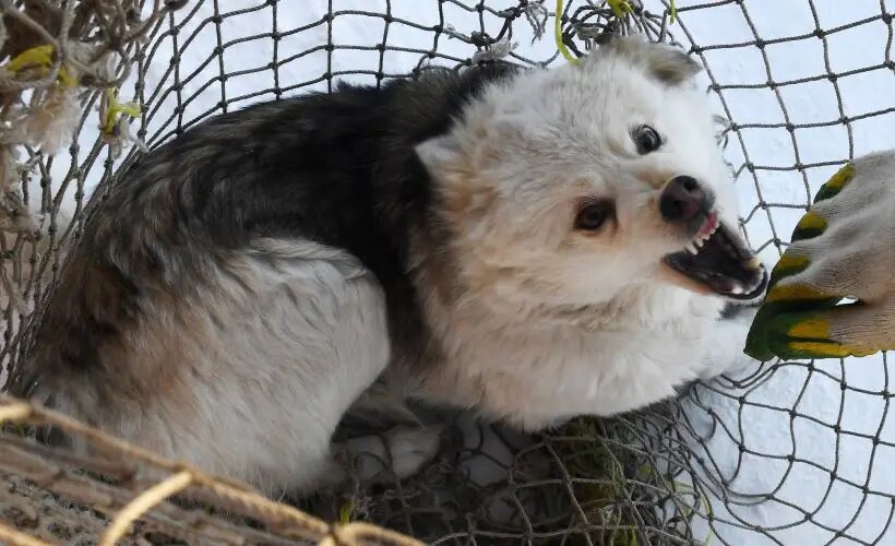     © РИА Новости. Илья Наймушин