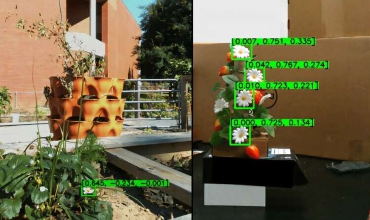    Фото: Georgia Institute of Technology