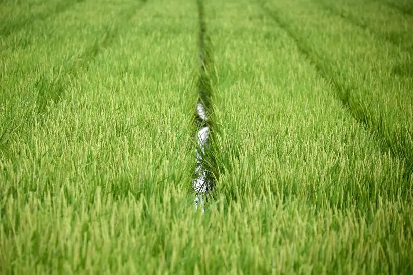     © РИА Новости. Виталий Тимкив