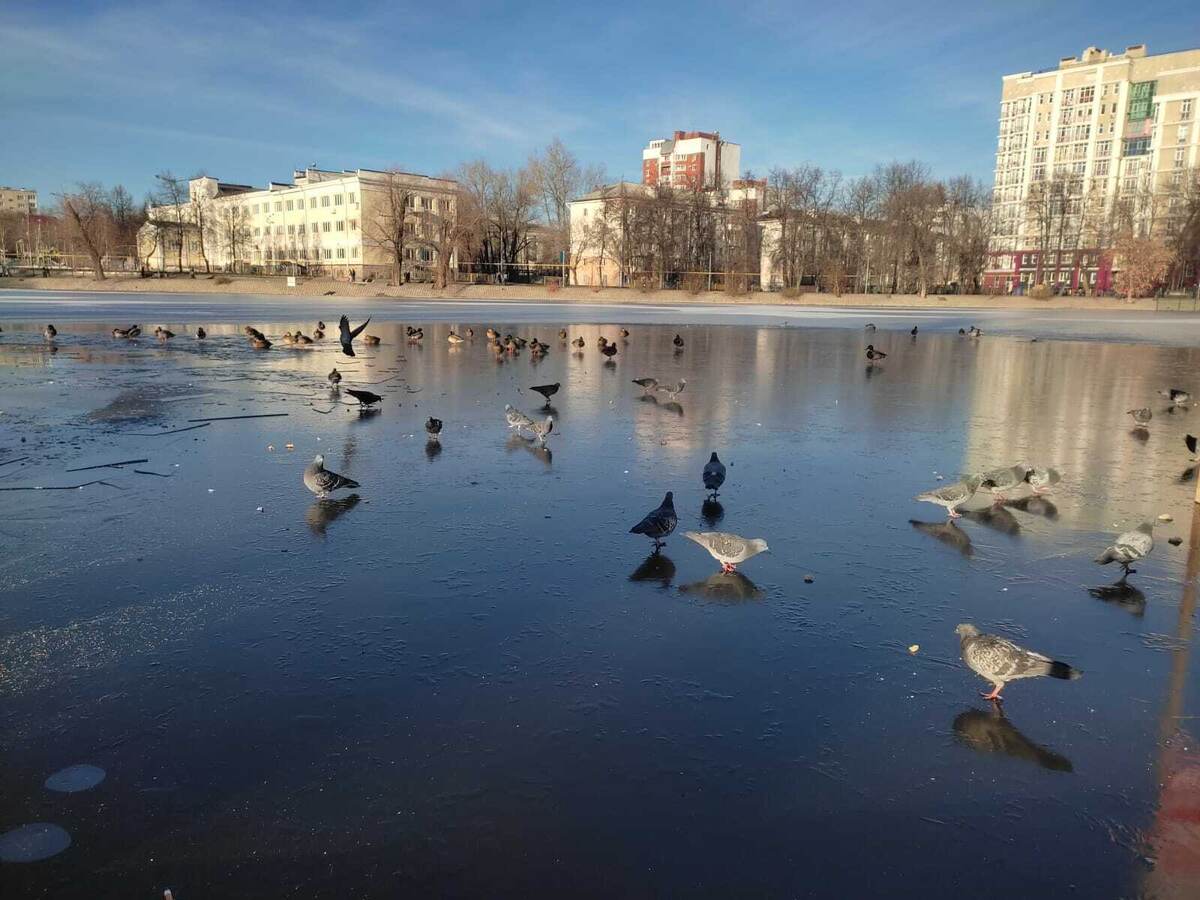     Безне тылсымлы көн көтә!