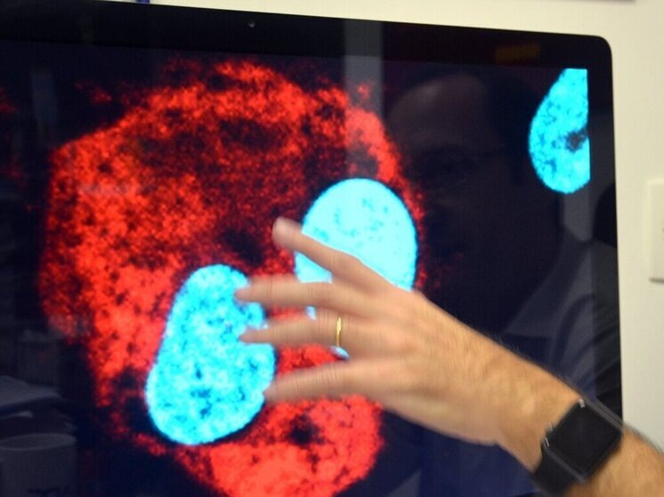     © Georg Ismar/dpa/Global Look Press