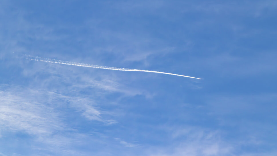 Фото: Егор Снетков / Коммерсантъ