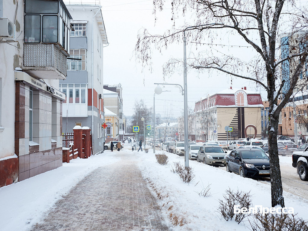     Фото: Елена Журавлёва