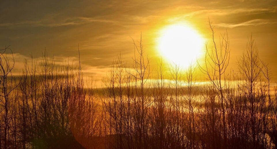    REGIONS/Роман Малышенко