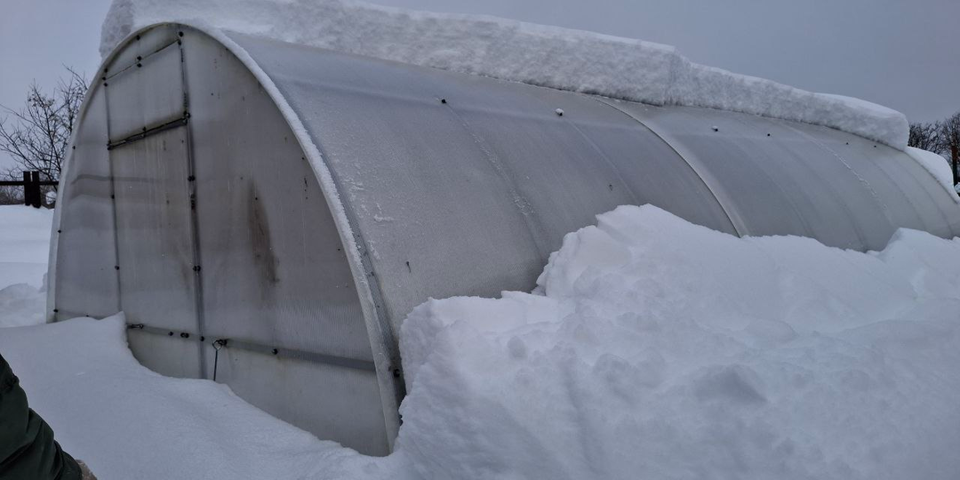 Будет паводок или нет? Когда сойдет снег? И, наконец, самое главное для нас, садоводов - стоит ли сажать рассаду в обычные сроки?