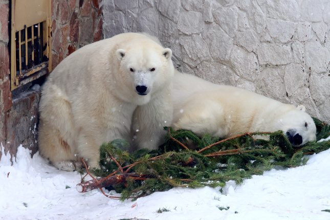 Фото: Дмитрий Куткин («Вечерний Челябинск»)