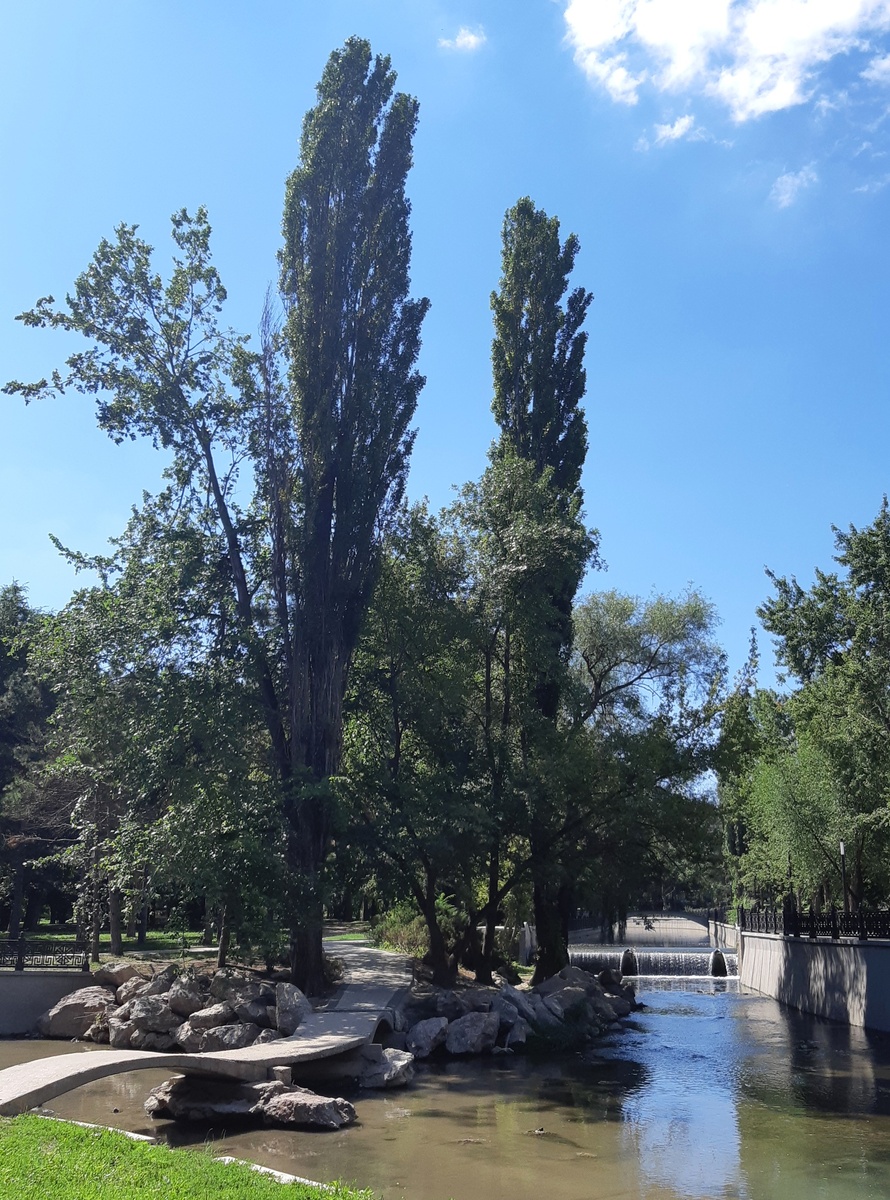 Река Салгир.