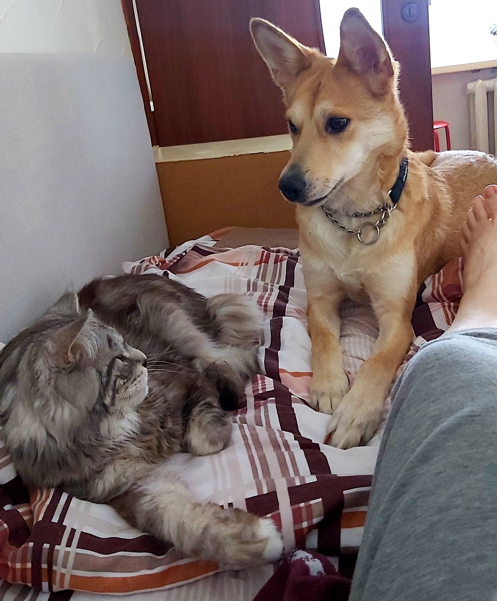 Начало контакта