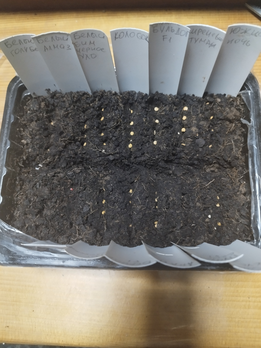 Посеянные семена