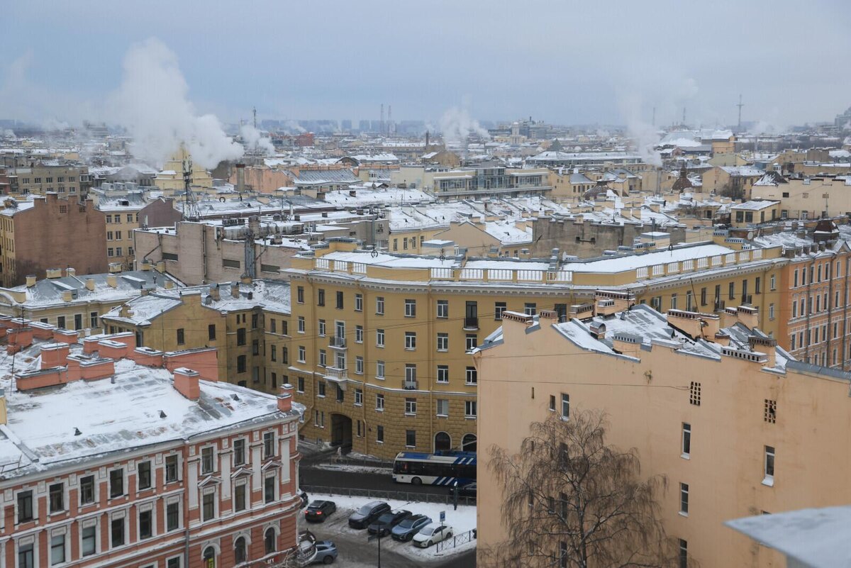 Фото: Александр Глуз / «Петербургский дневник»