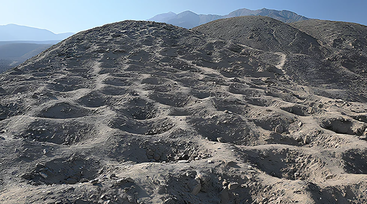 Cambridge University Press