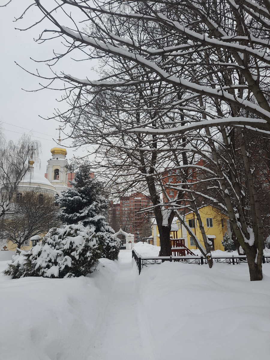 Природа дремлет в ожидании весны