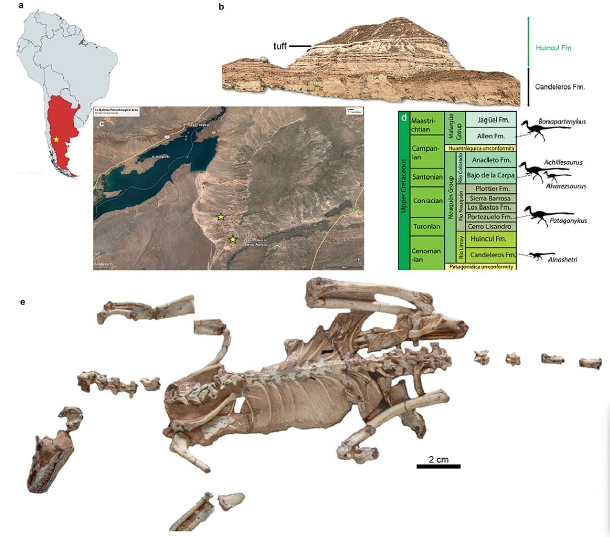    Географическая, стратиграфическая и тафономическая информация об образцах Alnashetri cerropoliciensis / © Peter Makovicky