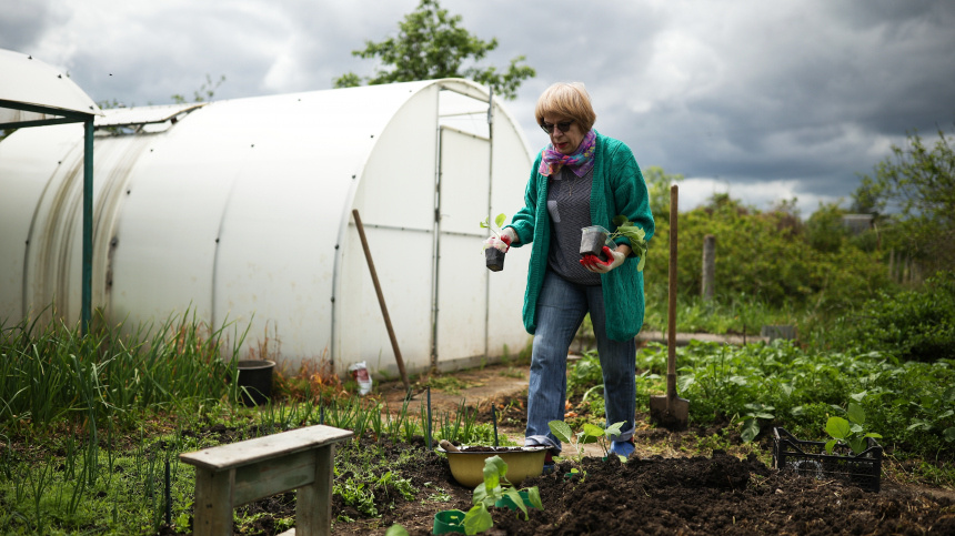    Фото: © РИА Новости/Виталий Тимкив