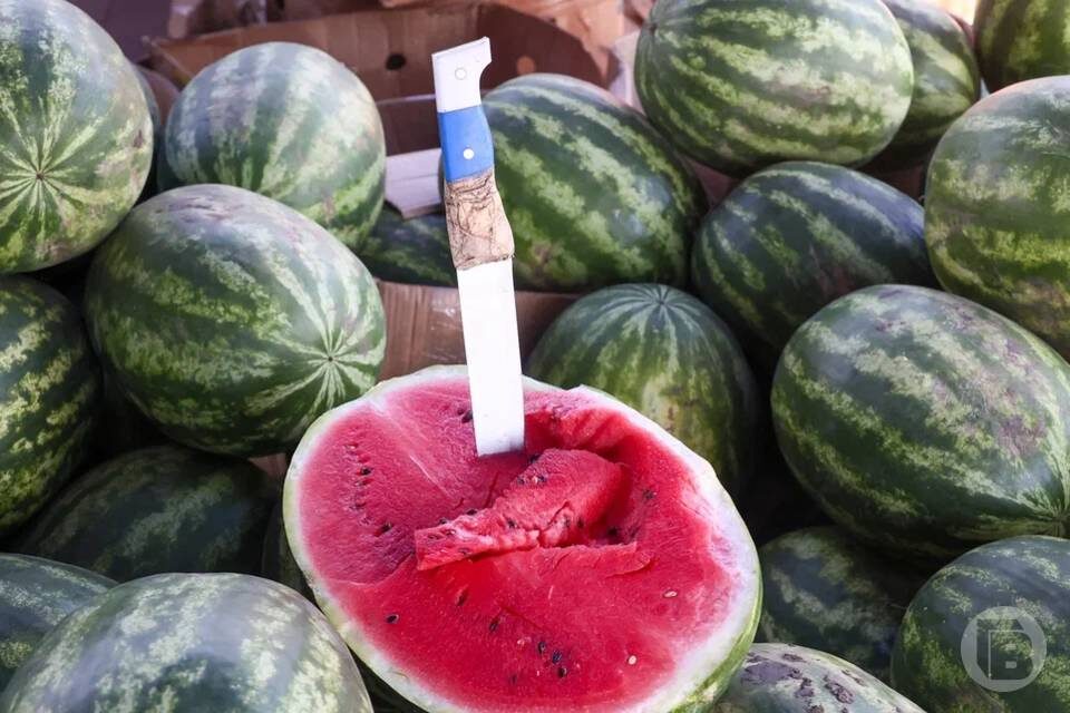    Фото: Дмитрий Рогулин / "Городские вести"