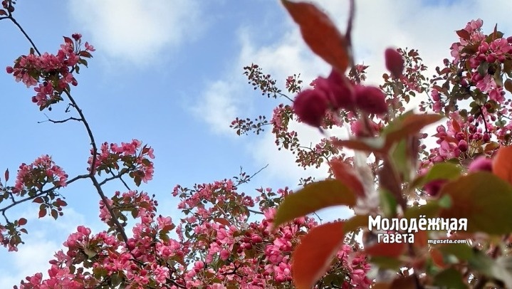 Весна перемен: какие законы вступают в силу в марте 2026 года