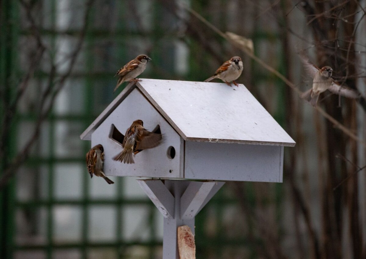     / Источник: © ИЗВЕСТИЯ/Телеканал «78»