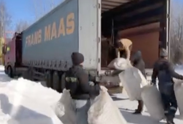 фото: скриншот из видео