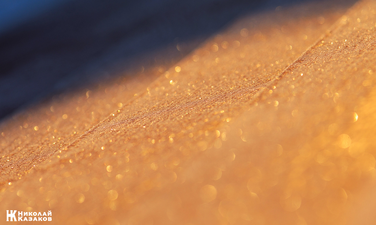 Блеск родного дома. 25/02/26 г. Николай Казаков.