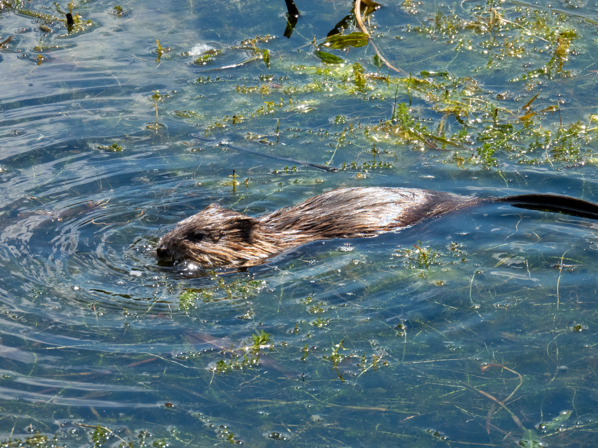 Красота же!