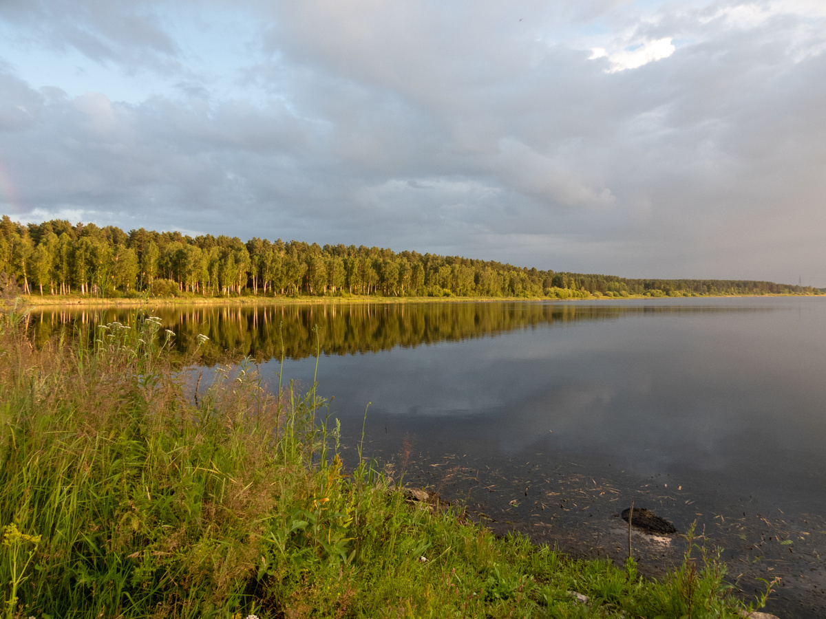 Озеро в Железногорске, где живут ондатры