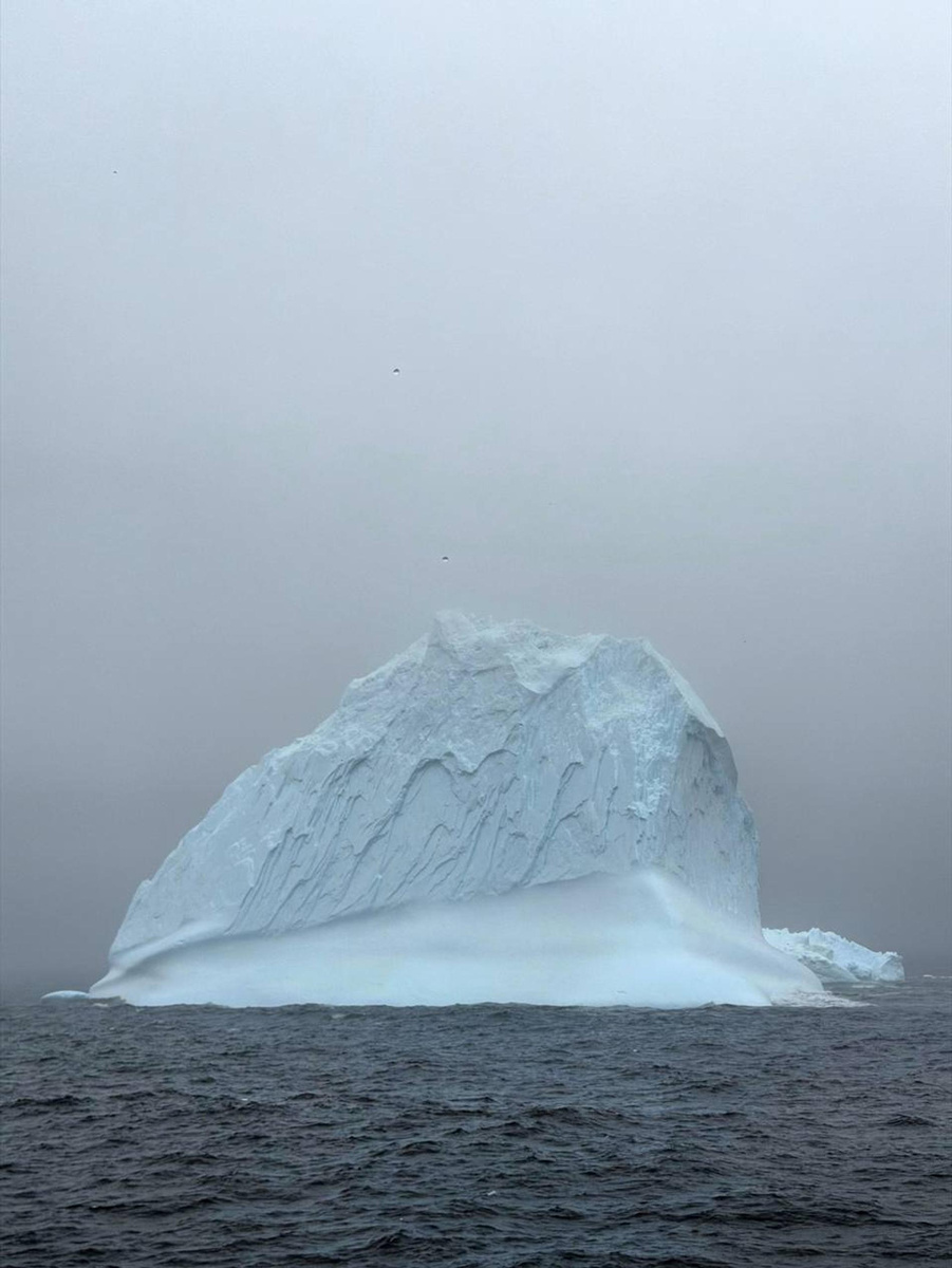    Фото: Telegram-канал Полина Диброва