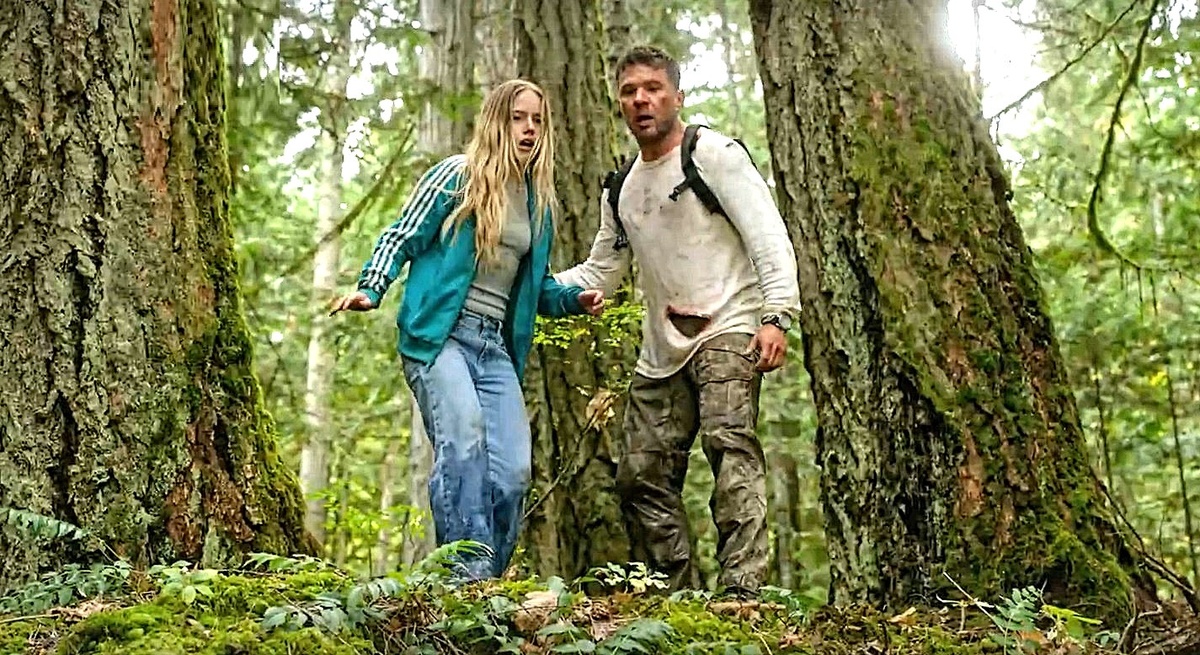 Почему-то все нечаянные свидетели спаривания ёжиков ведут себя одинаково. 