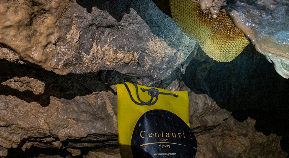 Центаврианский мед темного цвета с легкой горчинкой добывают в Черноморском регионе, недалеко от города Артвин, в пещере на высоте 2500 метров над уровнем моря. Дикие пчелы собирают нектар вдали от цивилизации с лекарственных трав, произрастающих вокруг пещеры. Поэтому мёд получается особенно насыщенным магнием, калием, фенолами, флавоноидами и антиоксидантами.