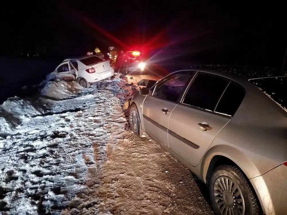    Фото: Госкомитет Карелии по ОЖ и БН