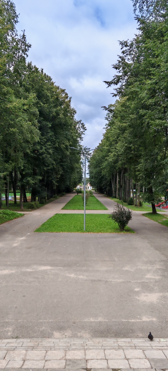 Парк в Нерехте. Центральная аллея