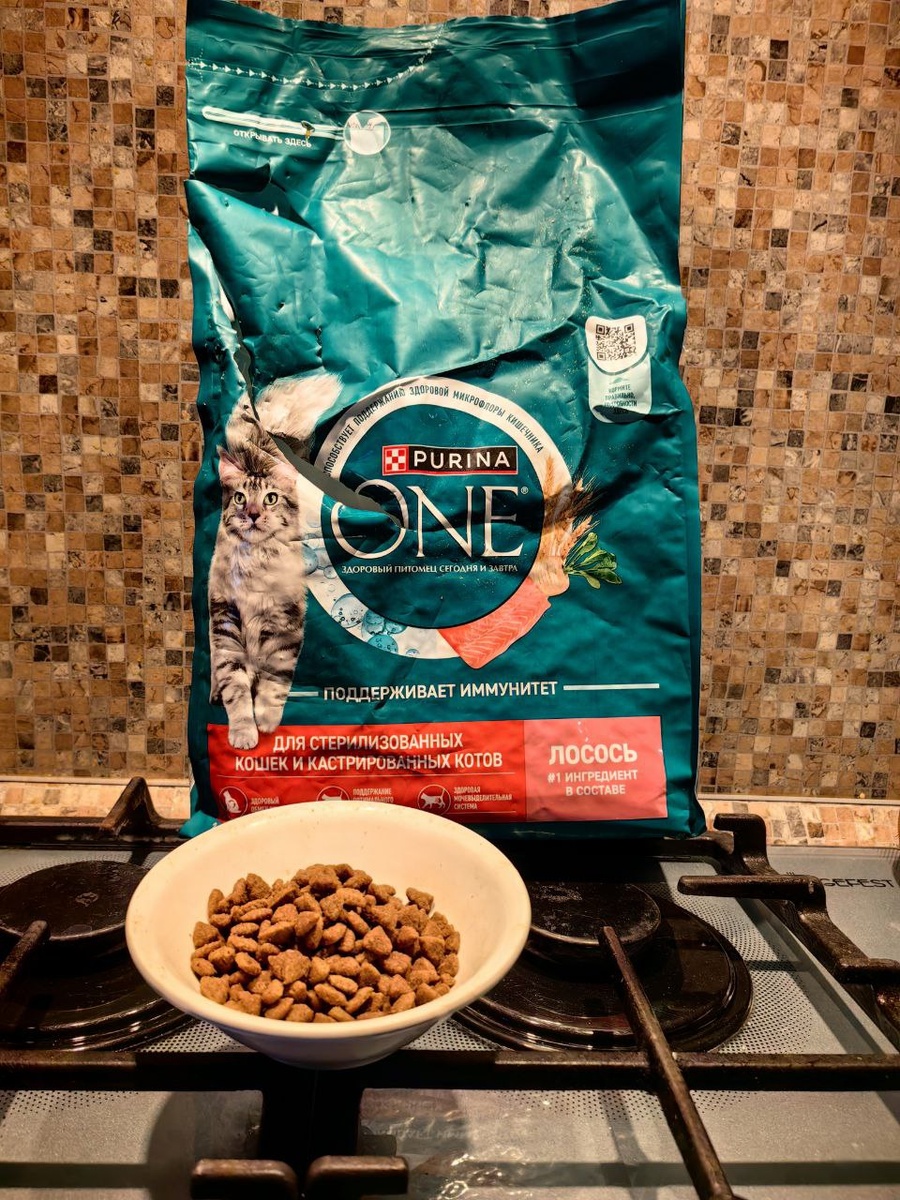 Доктор прописал диету, а я устроил забастовку... которая провалилась»

«Опытным путем установлено: после "того самого" визита к врачу еда перестала иметь значение. Миска встречалась скептическим прищуром, а корм шел на корм плинтусу. Хозяин уже начал седеть, перепробовав всё, включая обещания купить мне личный остров.

Но тут на горизонте появился ОН — корм с лососем. Я, как уважающий себя кот, попытался сделать вид, что мне все равно. Сделал круг почета вокруг миски, демонстративно почесал левым ухом... но этот запах! Аромат лосося пробил мою кошачью броню.

Вердикт: Мурчит так, что соседи стучат по батареям. Живот не болит (проверено на диване хозяина), шерсть блестит, как мои планы по захвату мира. Рекомендую всем стерилизованным братьям по разуму!