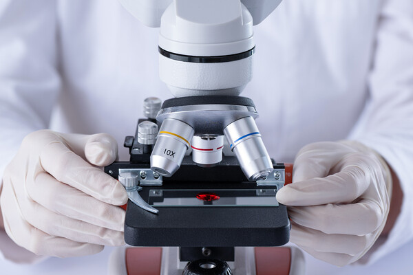 Shutterstock/FOTODOM   📷