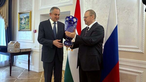    © Foto / Региональное информационное агентствоПензенской области