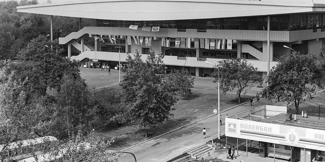 Гибель за жвачку