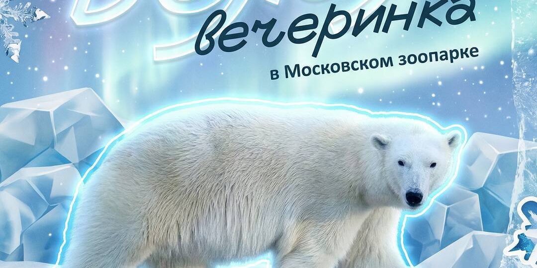 Белая вечеринка в Московском зоопарке